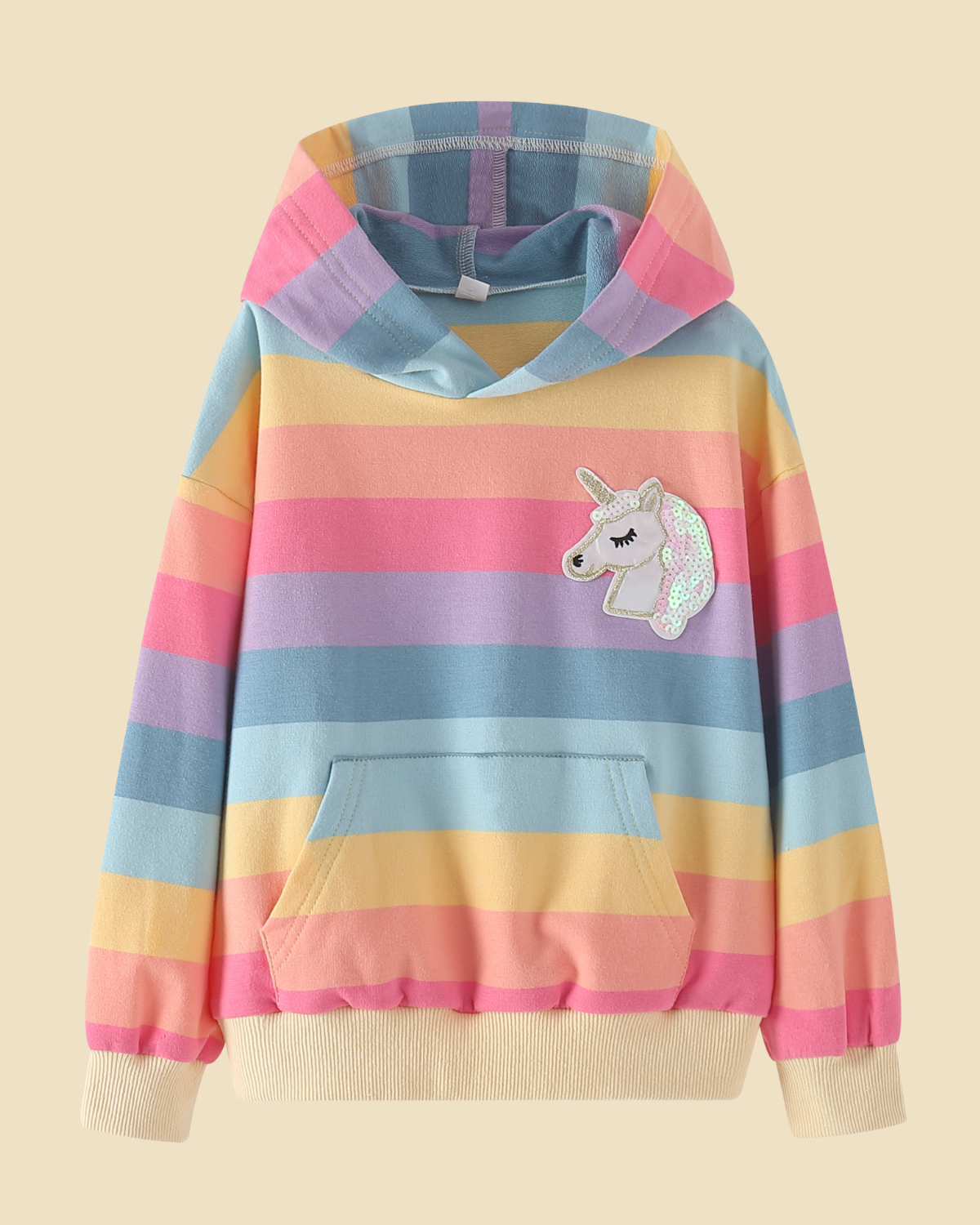 Rainbow Striped Hooded Sweatshirt