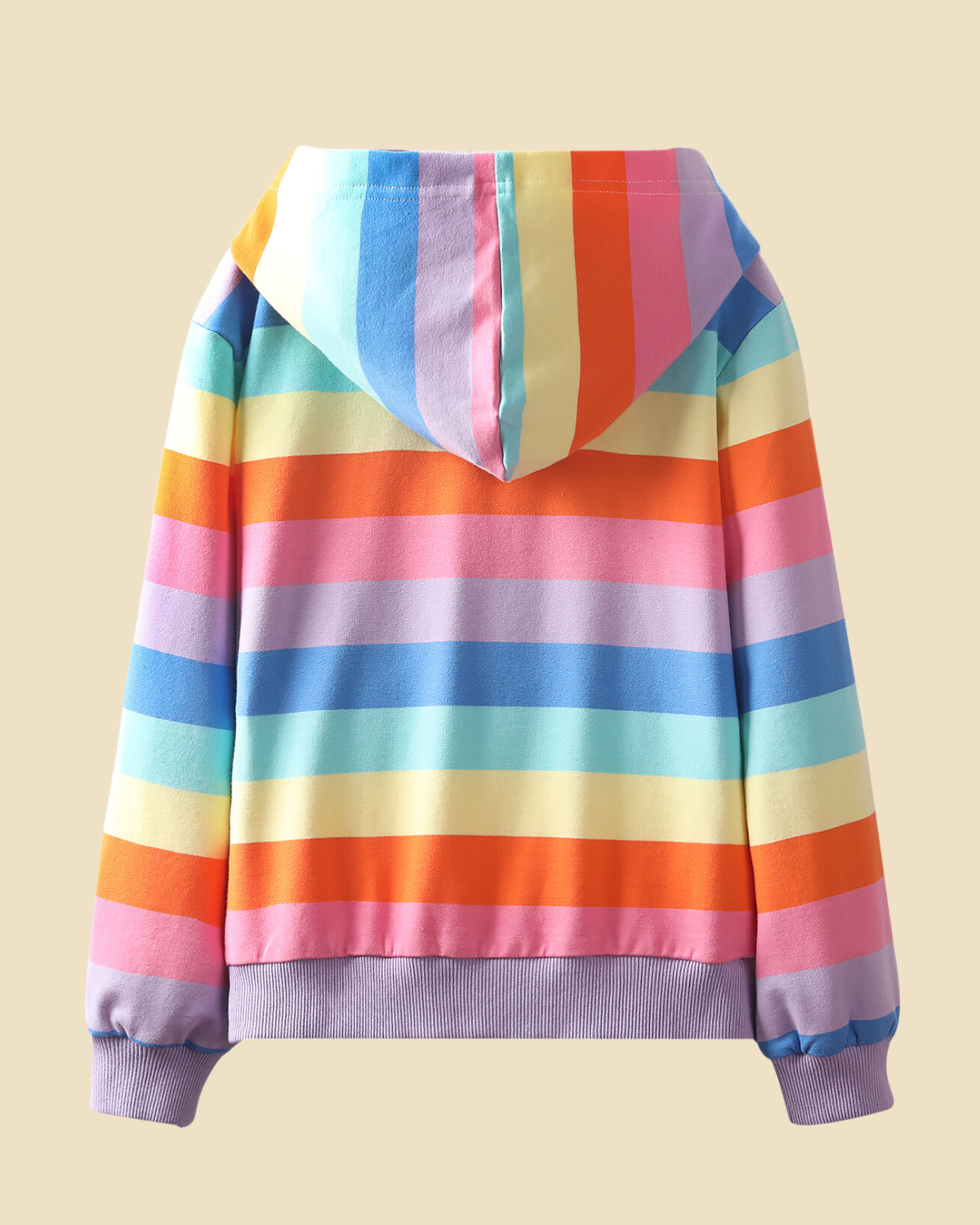 Rainbow Striped Zip Up Hooded Sweatshirt