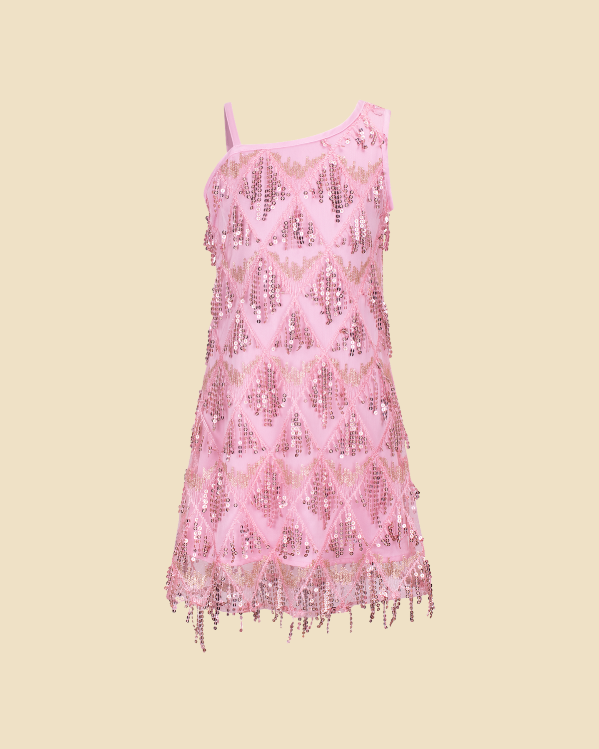 Sequin Fringe Dress