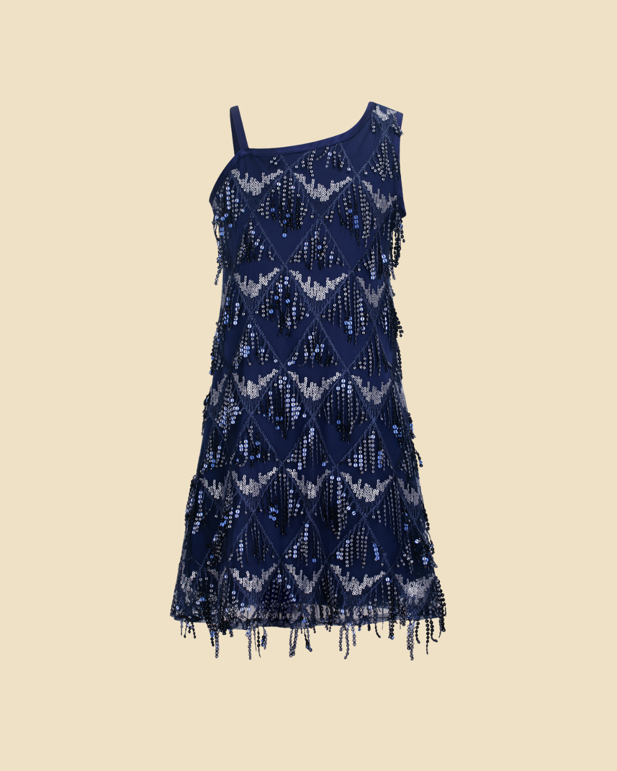 Sequin Fringe Dress
