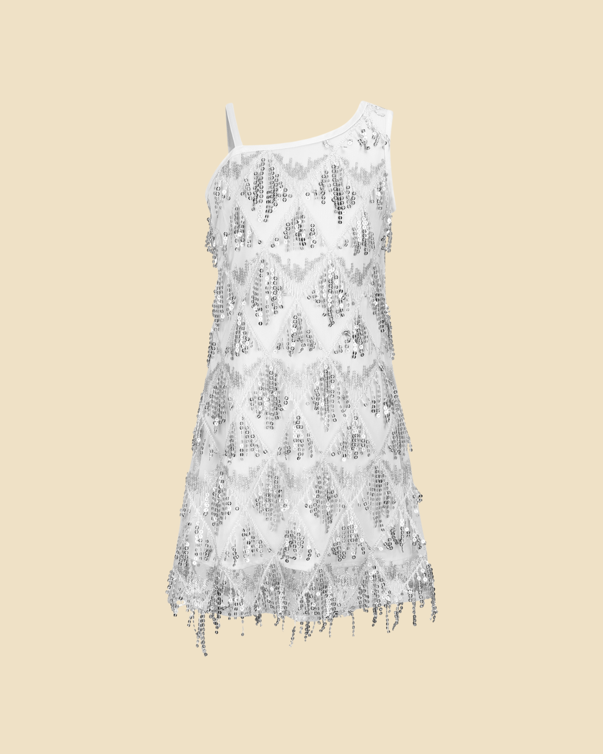 Sequin Fringe Dress