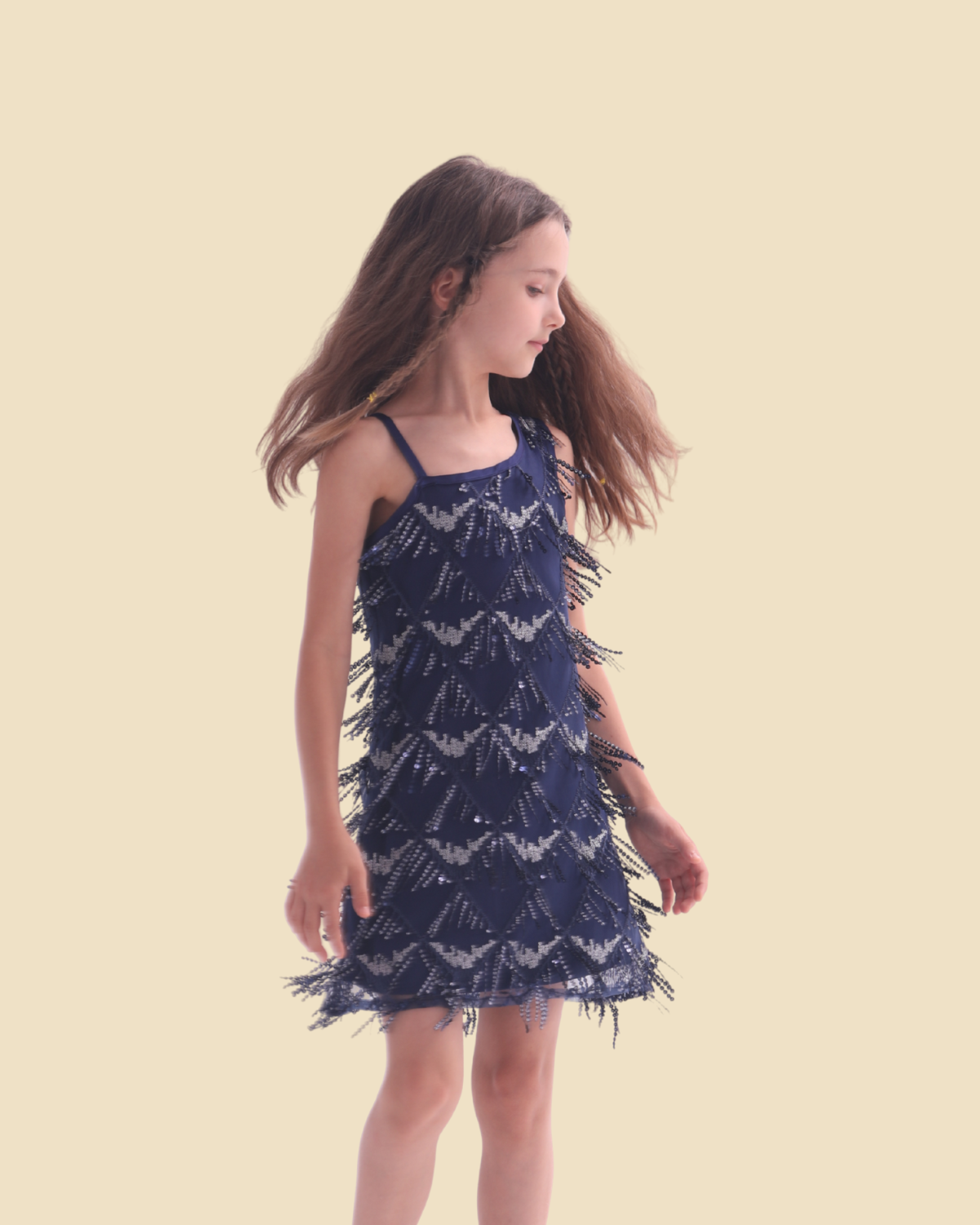 Sequin Fringe Dress