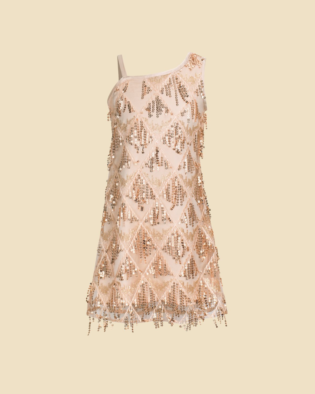 Sequin Fringe Dress